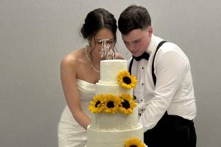 Cakes by Michele, LLC - 5