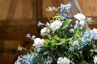 Perkasie florist - 6