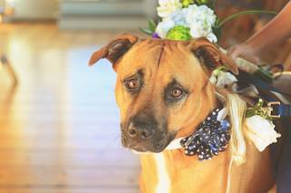 Katie Nemeth Photography - 24