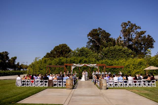 Belle Vie Vineyard 3