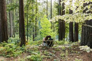 Vivi Lin Photography - 9