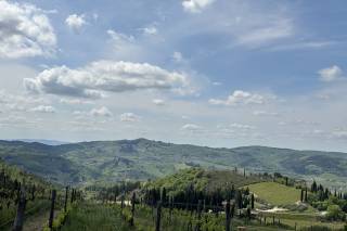 Tenuta Riseccoli - 5