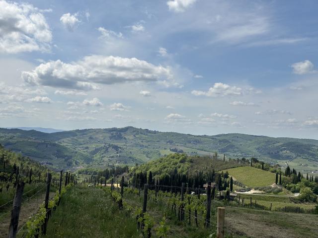 Tenuta Riseccoli - 1