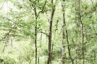 CWP Photography LLC - 31