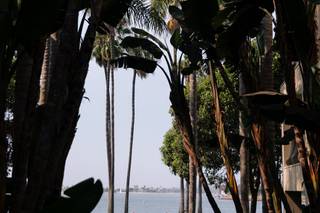 The Dana on Mission Bay - 17