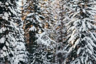 Kayla Nicole Beauty - 11