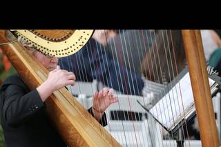 Debbie Beck - Harpist - 10