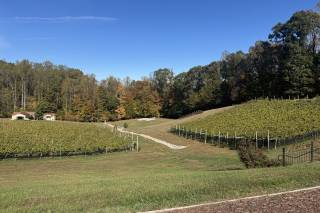 Potomac Point Winery - 10