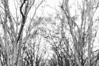 Ledia Tashi Photography - 42