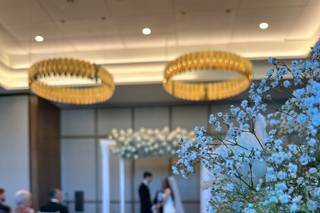 The Wedding Arches - 6