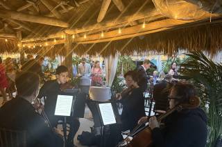 Ocean Strings / Ocean String Quartet - 7