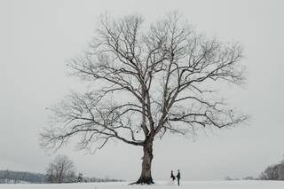 William Avery Photography - 99