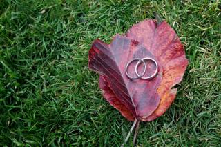 Shirtcliff Photography - 8