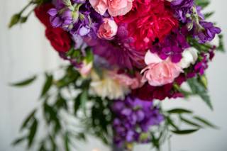 Roses of Warren - 9