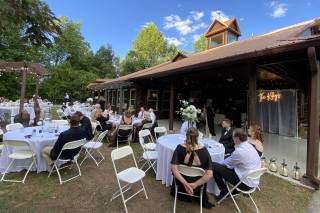 The Mustard Seed - 26