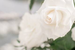 Wander + Whimsy Floral and Event Styling - 32