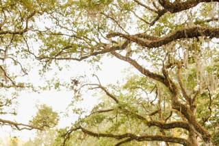 Jessica Winkler Photography - 23