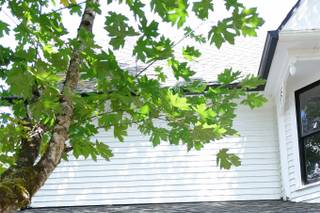The Orting Manor - 5