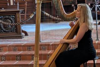 Laurie Rasmussen, Harpist - 5