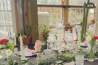 Mayfly Flowers - 10