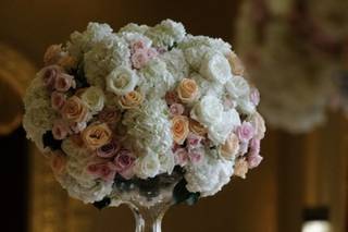 Enchantment Floral - 30