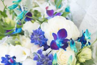 Alpha Floral - 28