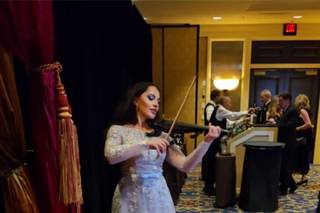 Tiana Snow Electric & Acoustic Violinist in Las Vegas - 7