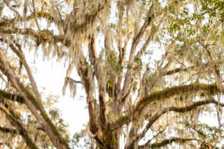 Brittany Morgan Photography - 6