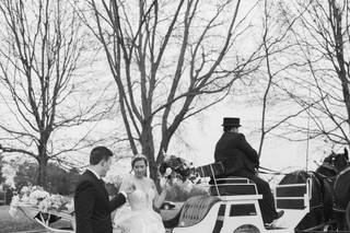 The Shenandoah Carriage Company, LLC - 8