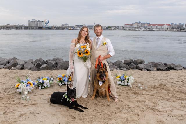 Dana Marie Photography - 1