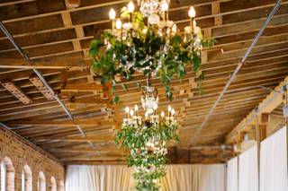 Plume Events - 7