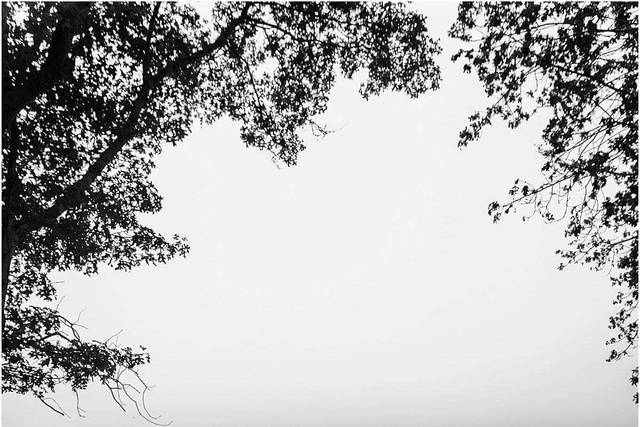 Dawn Temple Photography 3
