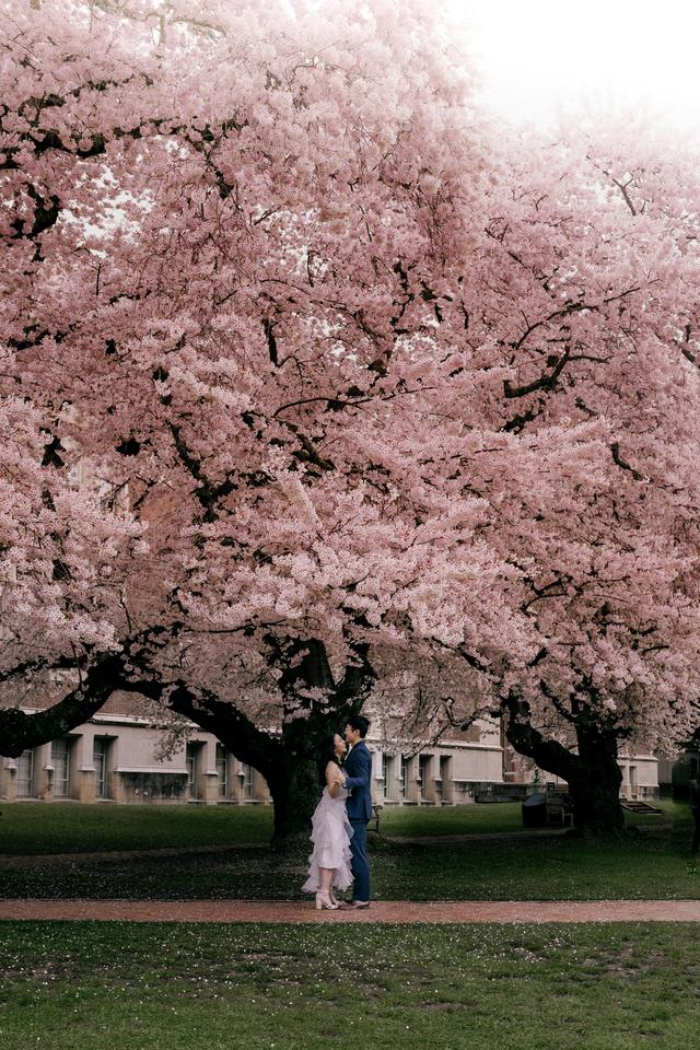 Oxy Sakagami Photography LLC - 3