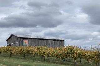 Tsali Notch Vineyard - 6