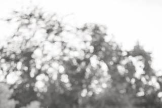 Two Birds Photography - 47