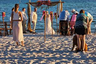 Weddings To Go Key West - 5