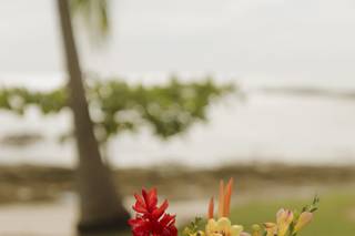 Amore Paraiso Weddings - 11