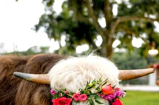 Caroline Allen Photography - 6