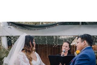 Officiant Amber - 32