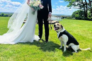 Affections Floral Design & Event Planning - 34