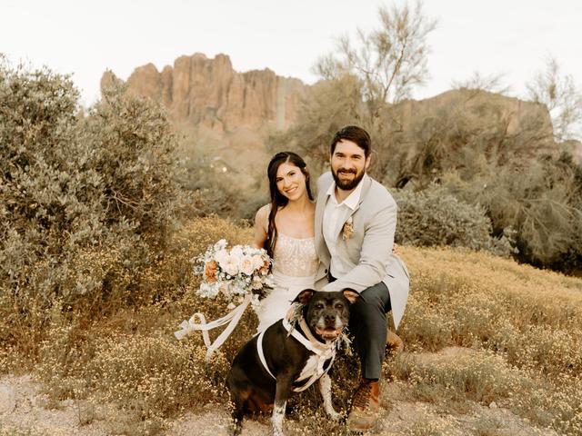 Simply Desert Co. - 3