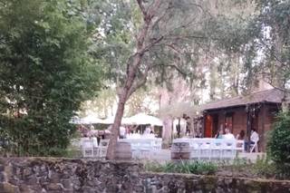 Cline Family Cellars - 6