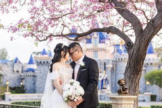 Disneyland Hotel - 21
