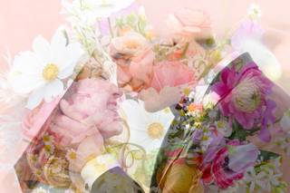 Sarah Eichstedt Photography - 9