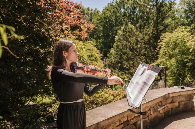 Perfect Harmony Violin - 1