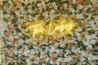 Made You Look Backdrops - 8
