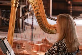 Laurie Rasmussen, Harpist - 6