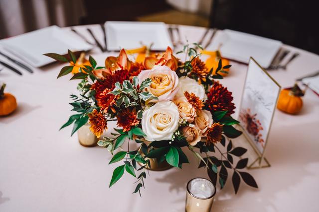 Carl Elixir Studio - 1