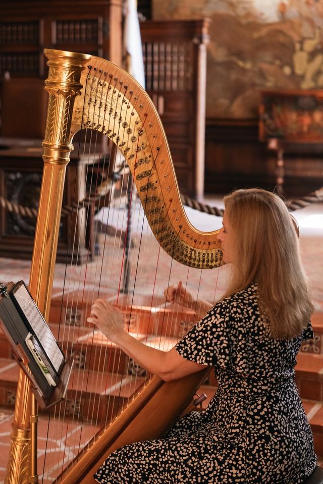 Laurie Rasmussen, Harpist - 2