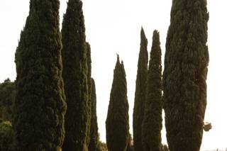 Fabio Schiazza Photography - 12